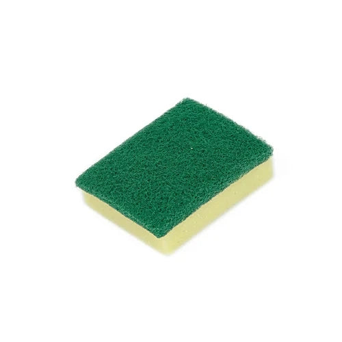 Sponge Scrub