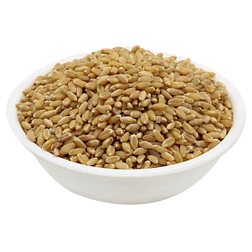 Vidisha sharbati wheat 2KG