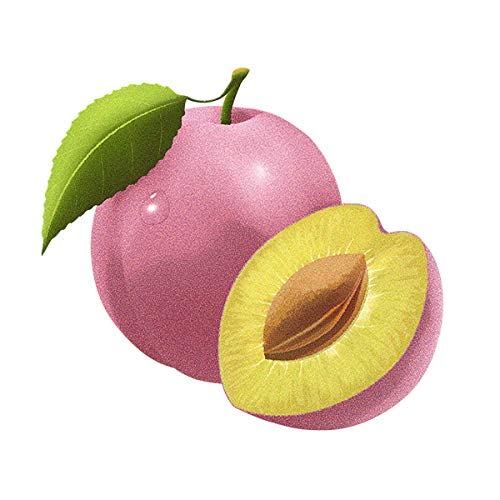 BIO HIMALAYAN PLUM BAR 150G