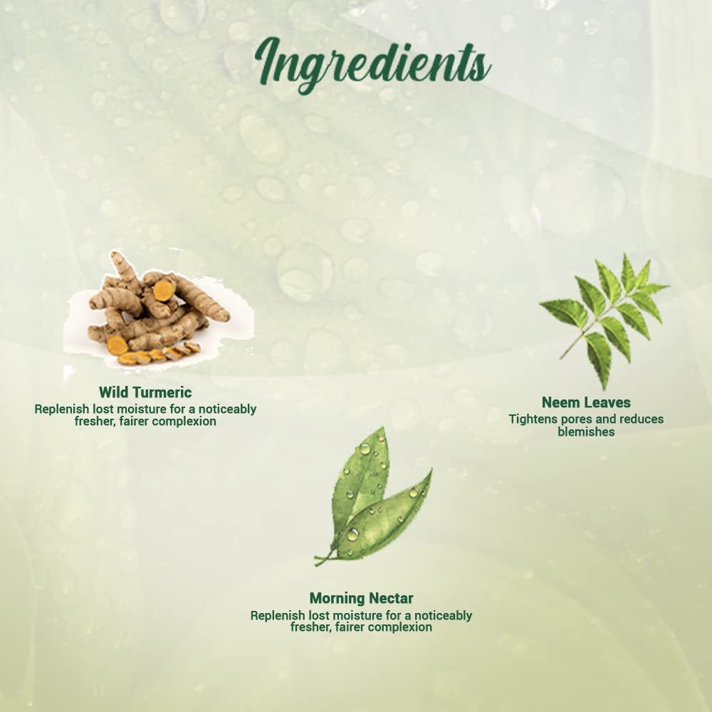 BIO MORNING NECTOR FC 100ML