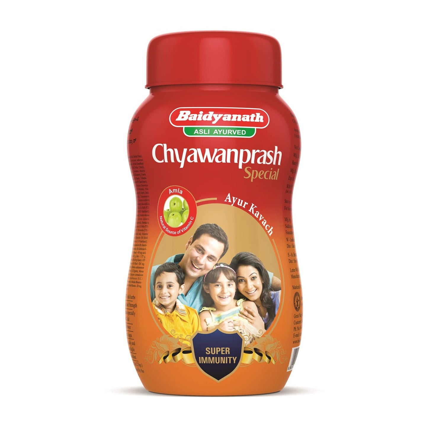 Baidyanath Chawanprash 500g