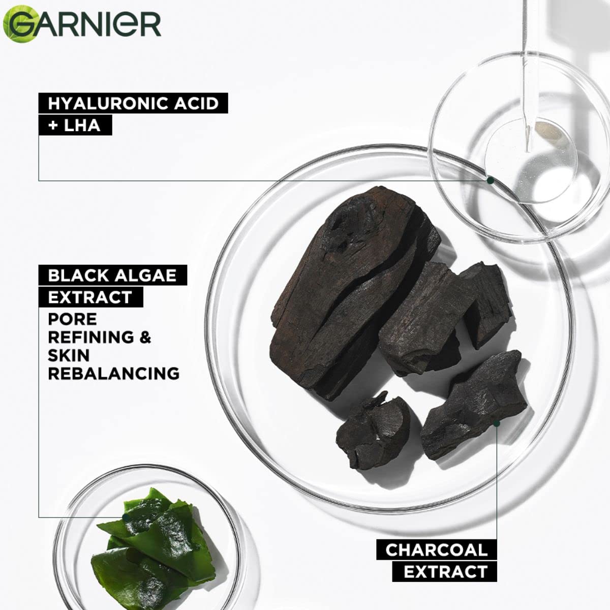 GARNIER CHARCOAL MASK 28G