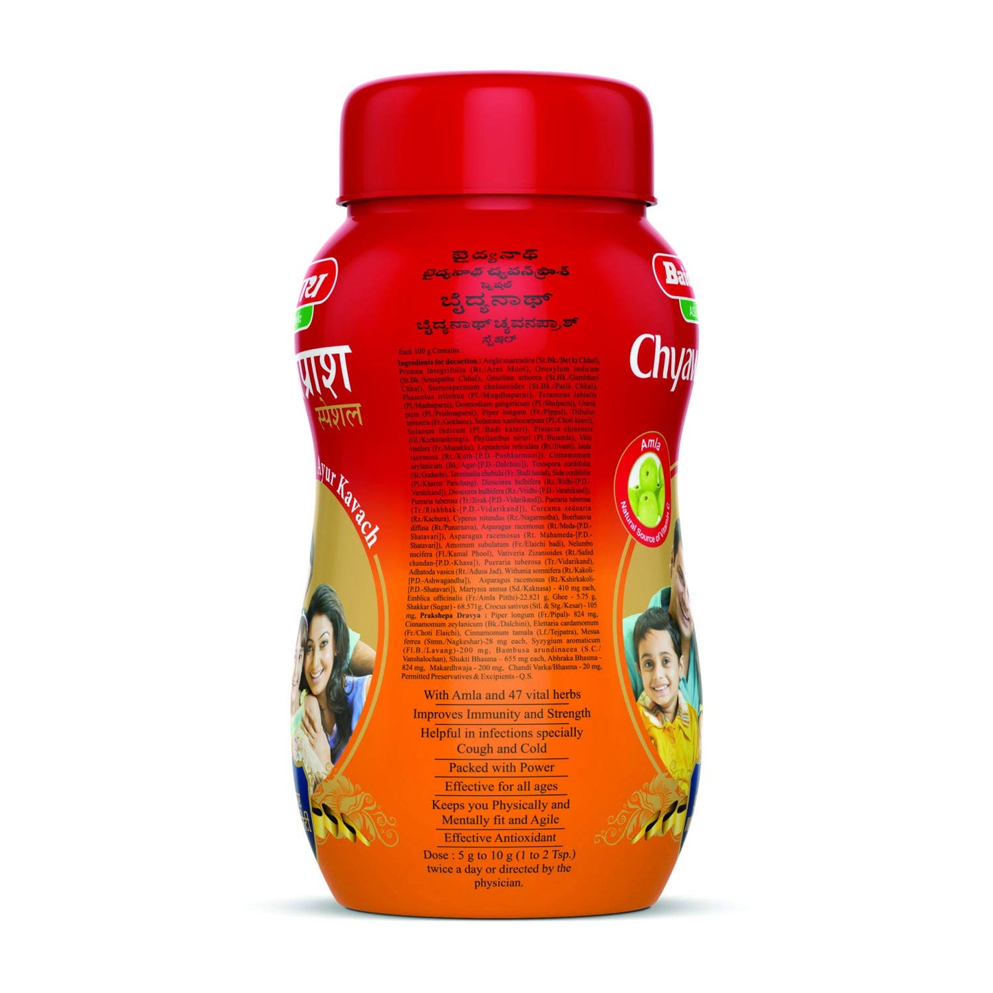 Baidyanath Chawanprash 500g