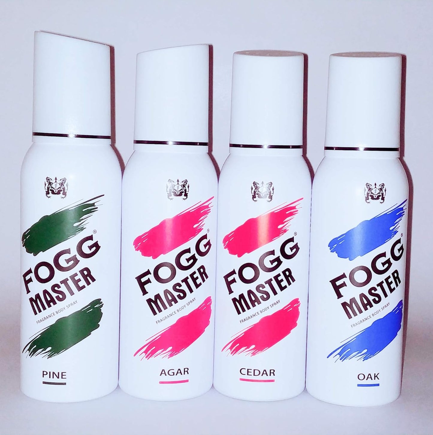 FOGG MASTER 120ML