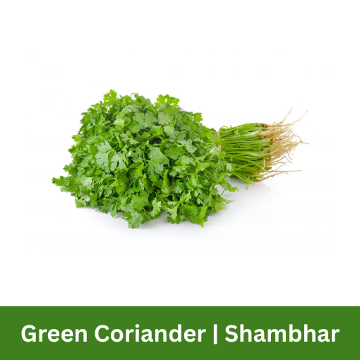 Coriander Green 100G Fresh Vegetables