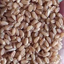 LOKHWAN WHEAT 1KG