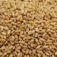 LOKHWAN WHEAT 8KG
