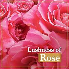 LUX RADIANT ROSE 75G*5
