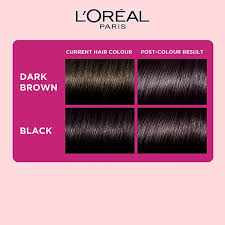 LOREAL CCG EBONY BLACK COND. COLOR 24ML