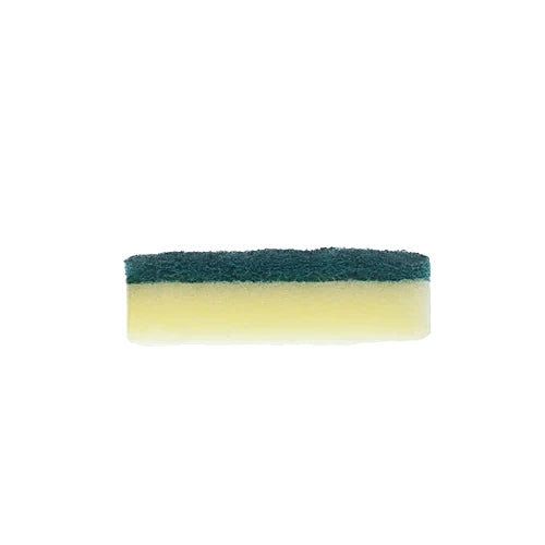 Sponge Scrub