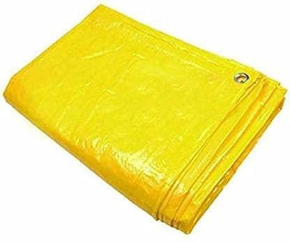 Tadpatri  20g