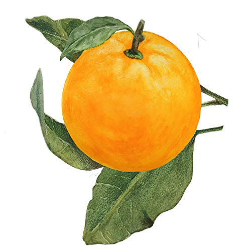 BIO ORANGE PEEL BAR 150G