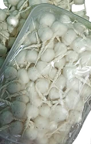 YUNITA DIP JYOT COTTON (B)