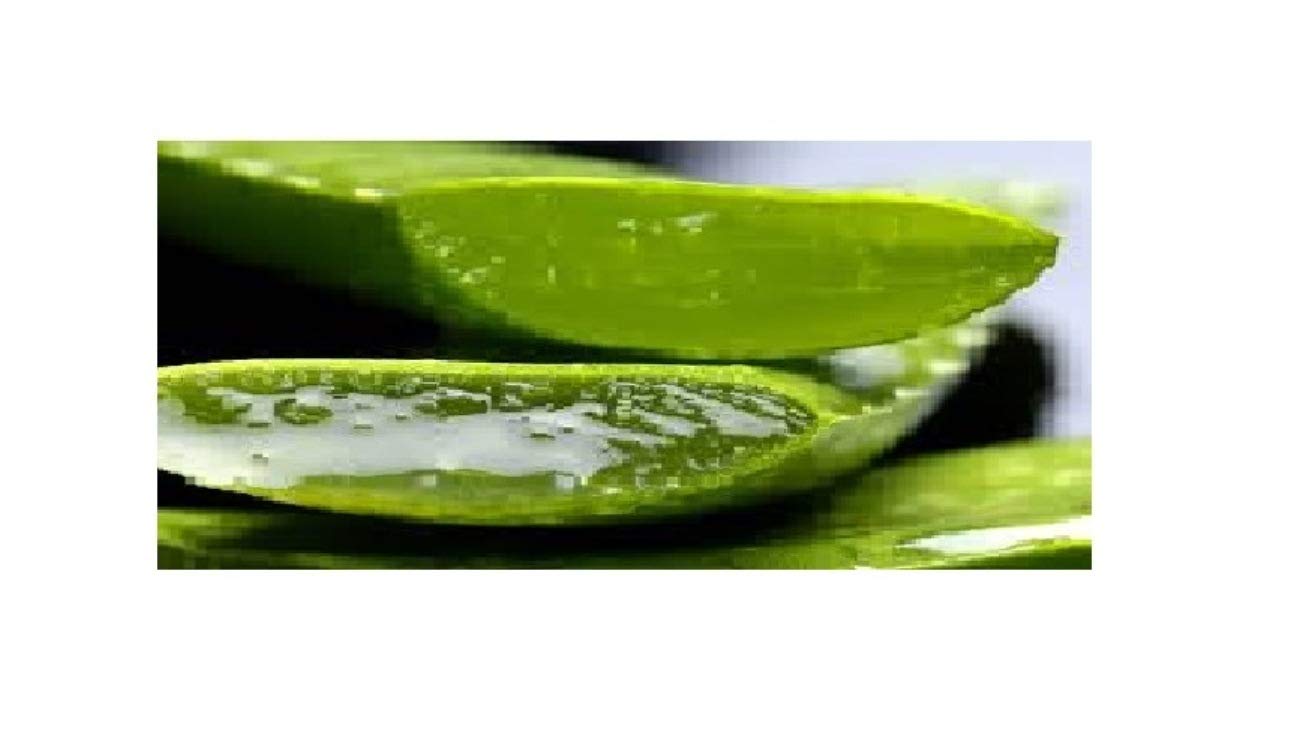 Ayur moisturizer rich vitamin -e 100ml