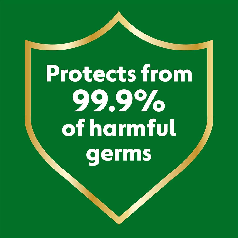 DETTOL SKINCARE 450G