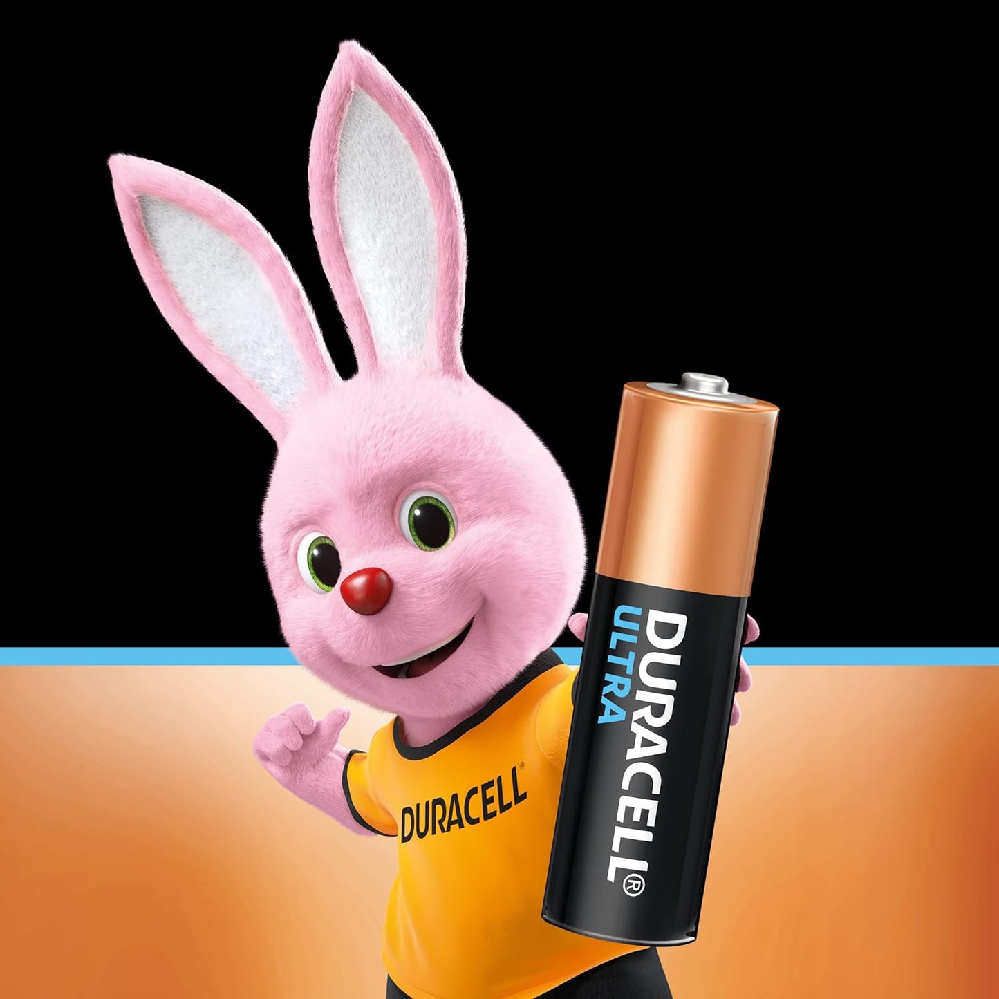 42 0 DURACELL AA 22