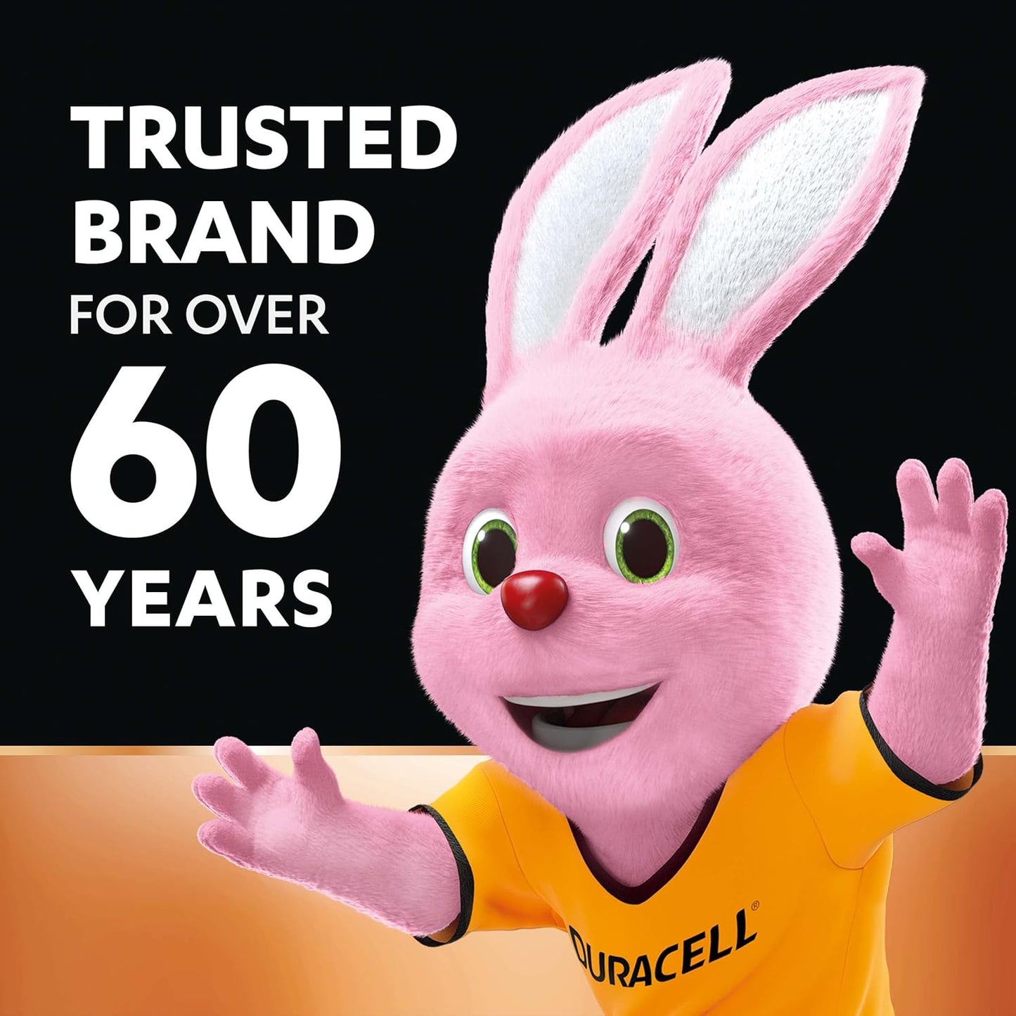 42 0 DURACELL AA 22