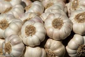 LASAN 250 GM