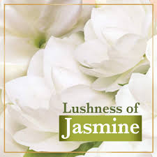 LUX JASMINE ADVANCED 75G*5