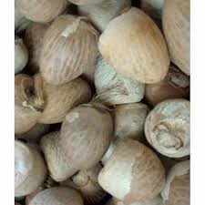 KACHISUPARI BARIK 50G