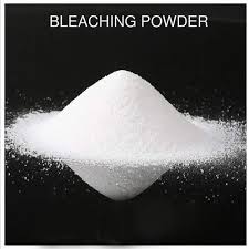 LION  HYGIENE BLEACHING PWD 500G