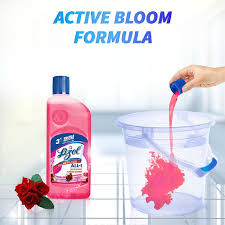 LIZOL FLORAL 625ML
