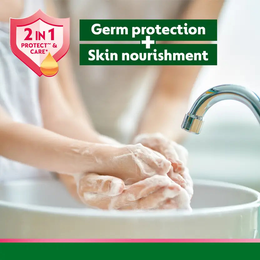 DETTOL SKINCARE HW675ML